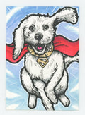 DC Krytpo Custom Art Card