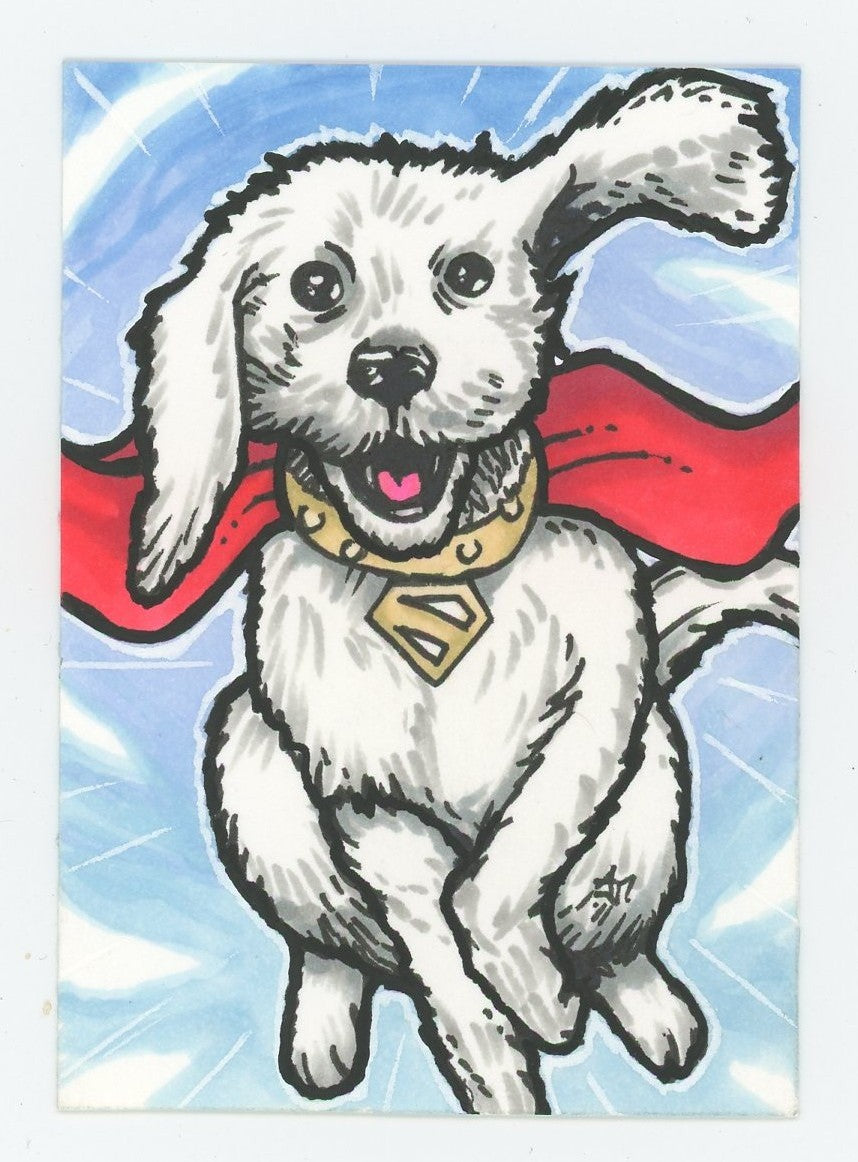 DC Krytpo Custom Art Card