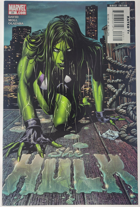 SHE-HULK #23 (2008)